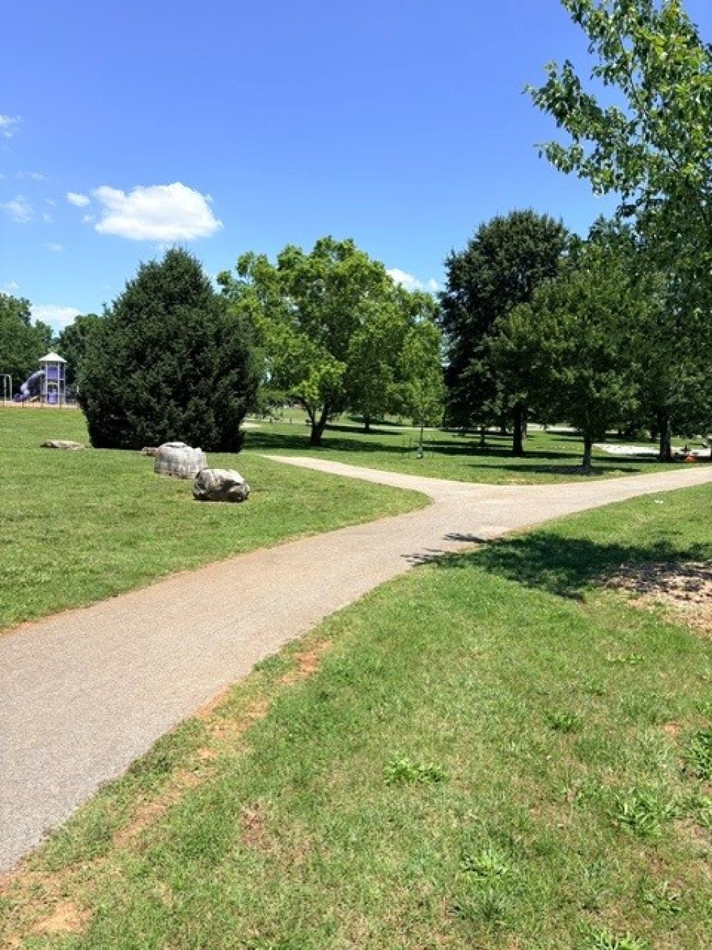 Pathway at Pedigo Park