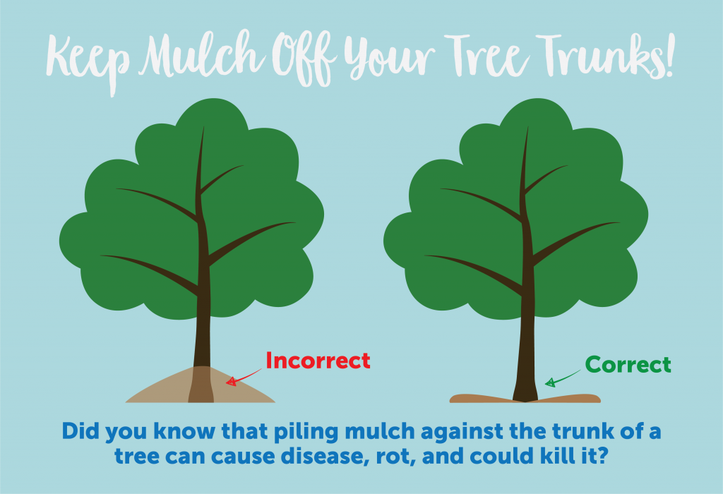 Tree mulching mistakes