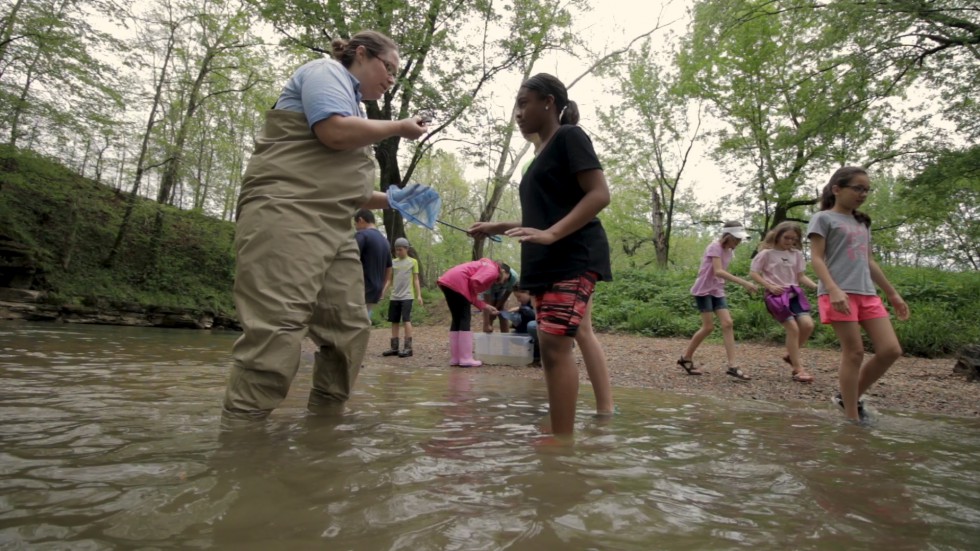 Streamside Stormwater Field Day Receives Funding