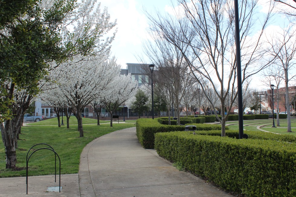 Arbor Day Foundation recognizes Bowling Green as a Tree City USA