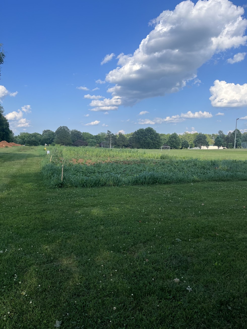 2026 Community Garden Sale