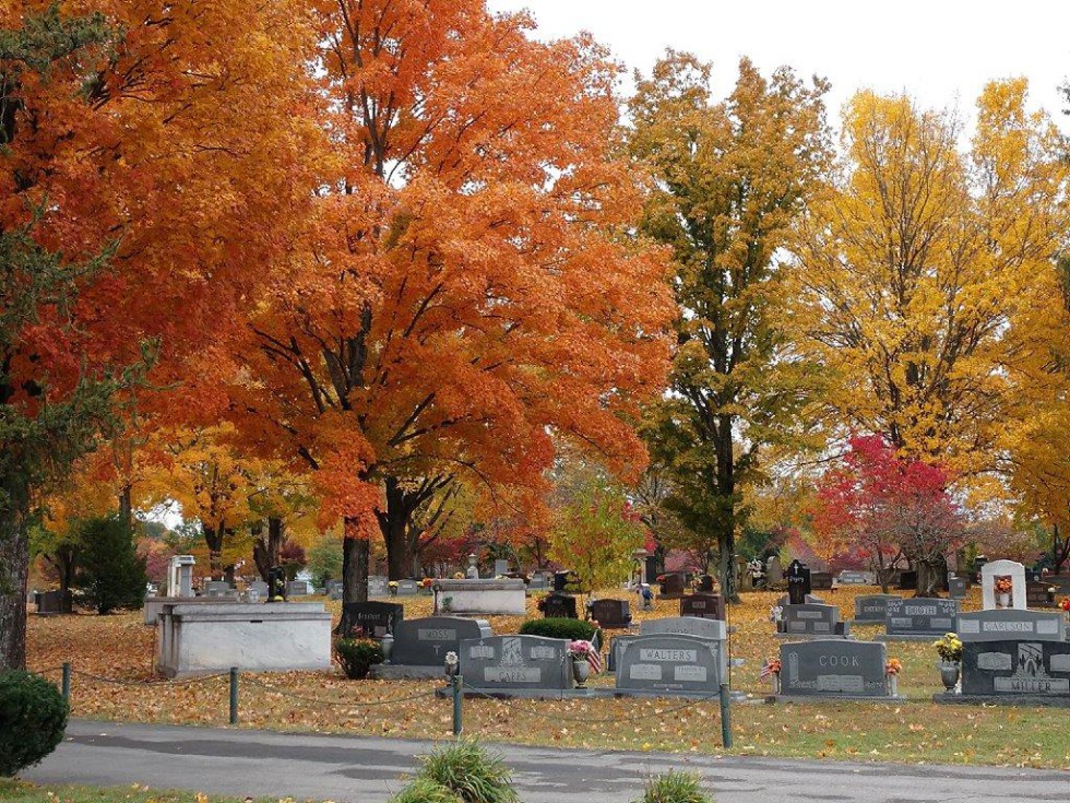 Paving project to cause intermittent road closures in cemeteries