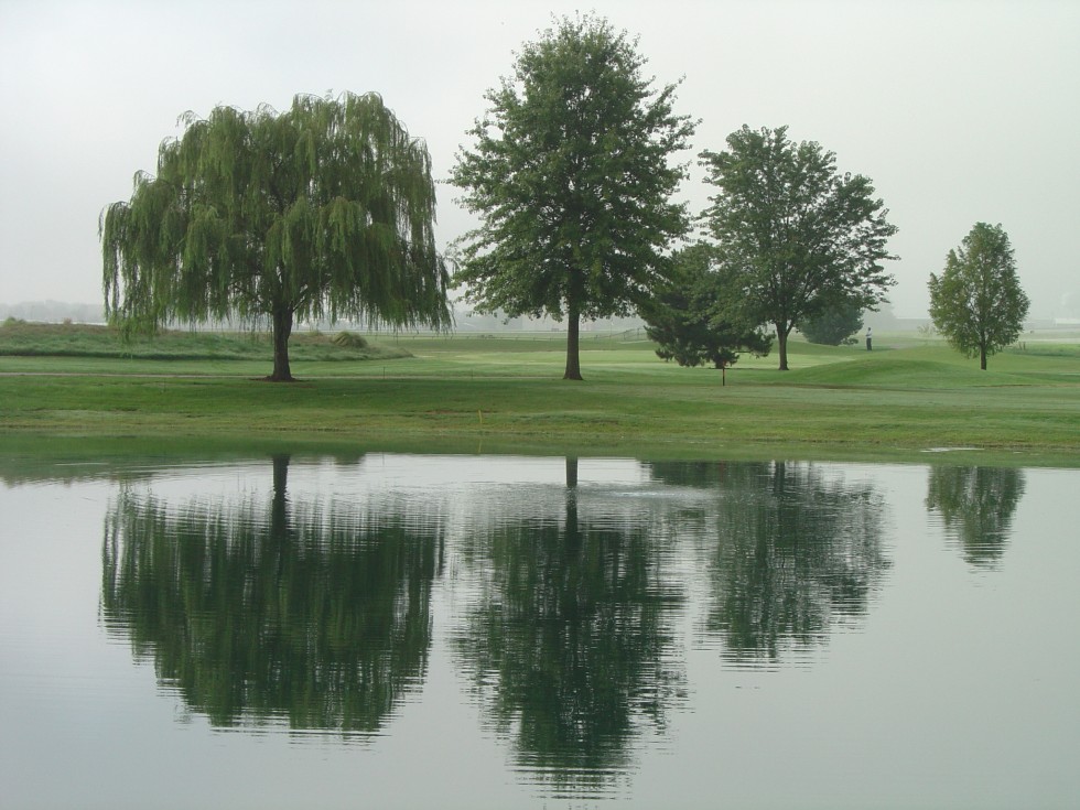 Tree Week, October 6-15, 2023
