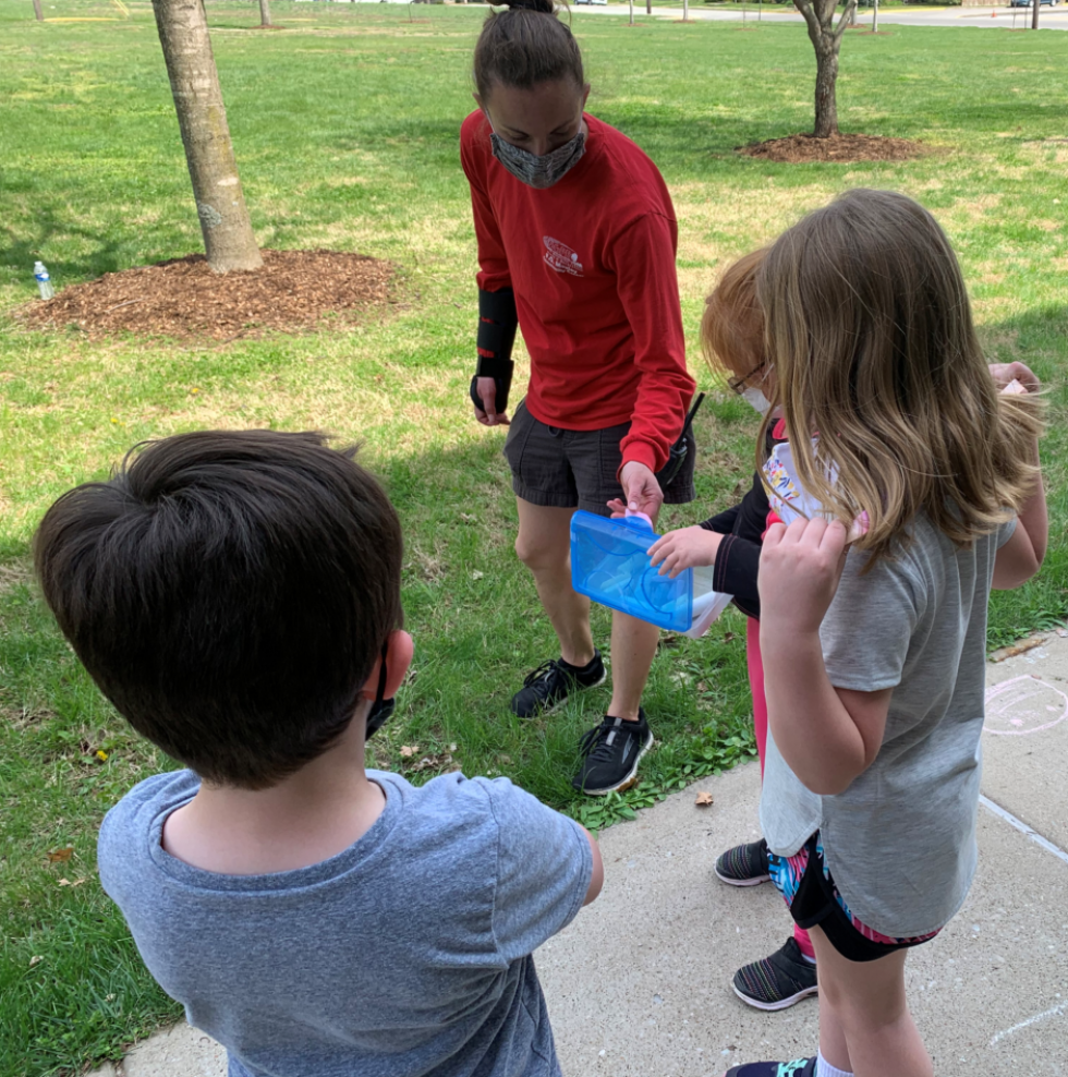 Summer Fun Camp Registration