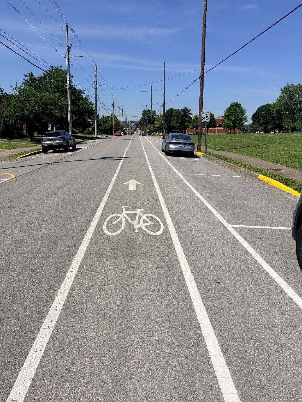 Bicycle Lane on a Road