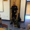 K9 Unit