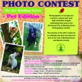 We are Bowling Green Photo Contest