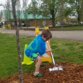 Arbor Day Celebration 2021