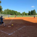 Adult Kickball Registration