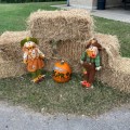 Pumpkin Trail returns to Preston Miller Park