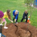 2026 Arbor Day Celebration