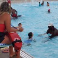 2025 Learn to Swim Registration