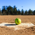 Summer Adult Softball League Registration