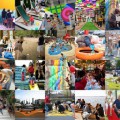 SNAP Grants Suspended due to COVID-19, Replaced by Flexible Neighborhood Grant