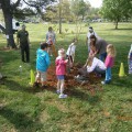 Arbor Day 2020
