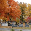 Paving project to cause intermittent road closures in cemeteries