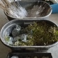 Arbor Day 2019