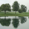 Tree Week, October 6-15, 2023
