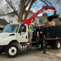 Debris pick up to begin in Zone 1 March 20