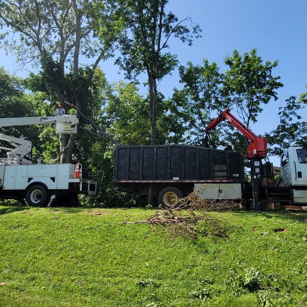 Storm Damage Removal