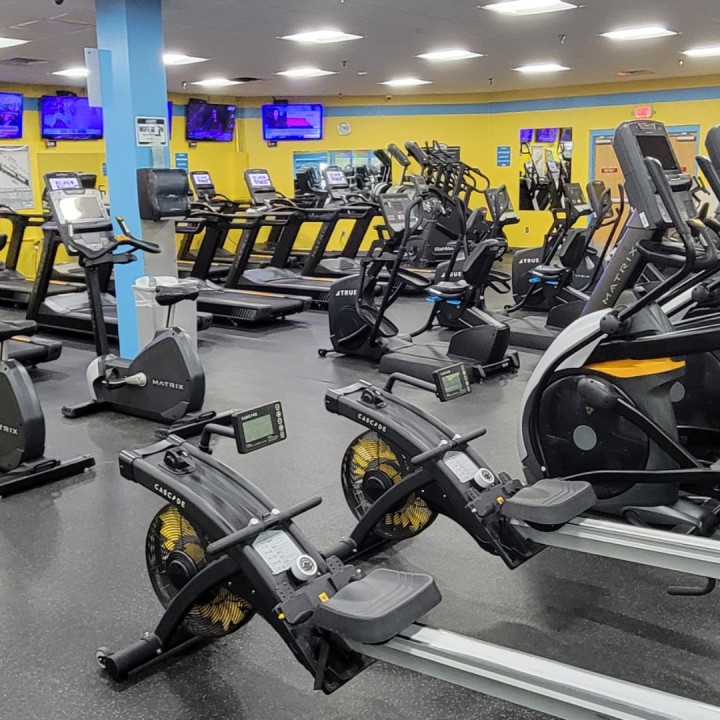 FitnessCardio2025-MonthlyReports