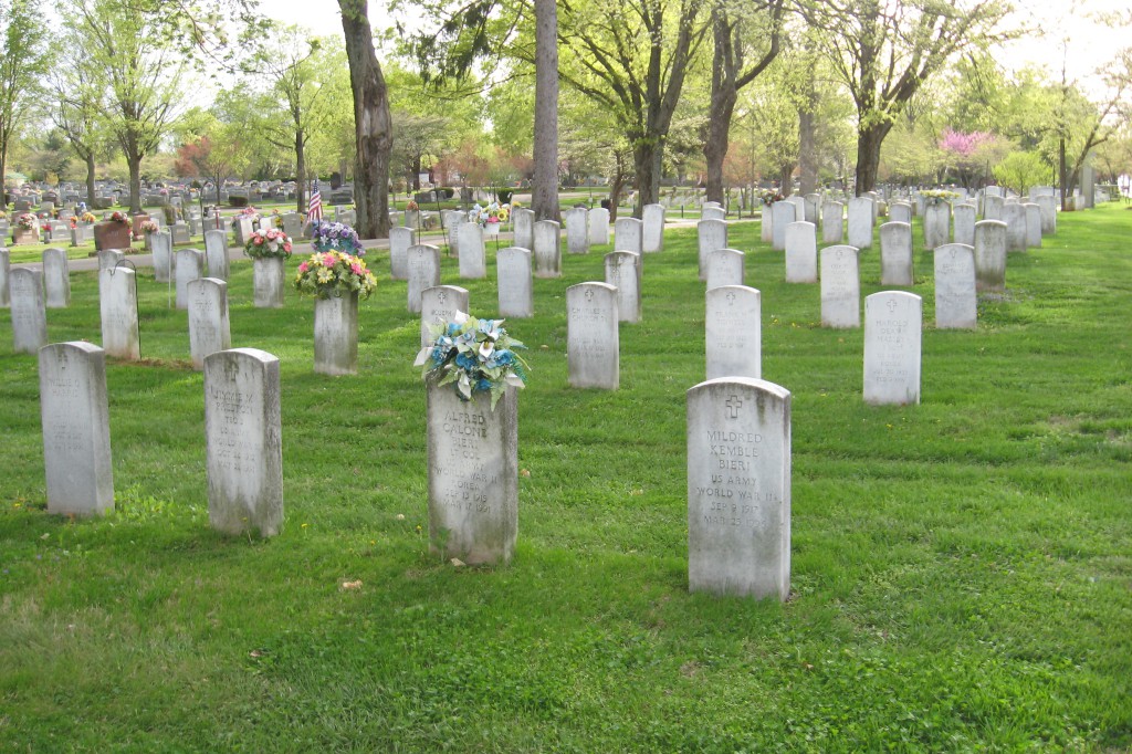 Fairview Cemetery: Davis-Hoffman Section