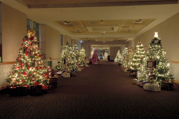 Sloan Convention Center - Christmas Trees