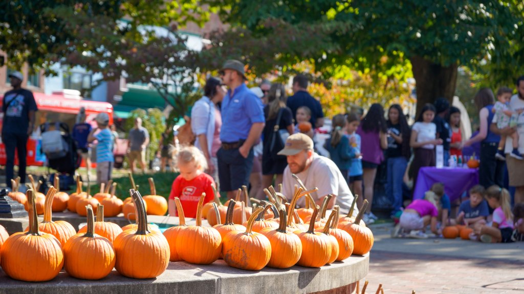 Update Bowling Green: October 2026