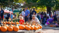 Update Bowling Green: October 2026