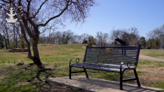 Your Parks, Your Voice: Inside the Master Plan Process