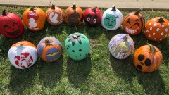Get Ready for the Pumpkin Trail