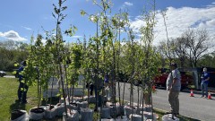 Apply for Spring Strategic Neighborhood Grants