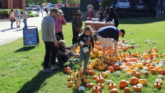 Join us for the Downtown BGKY Harvest Festival