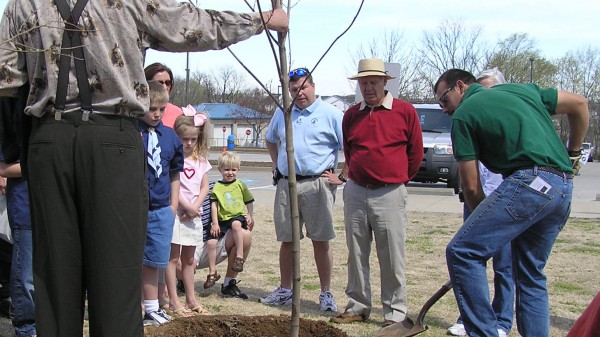 Tree Planting