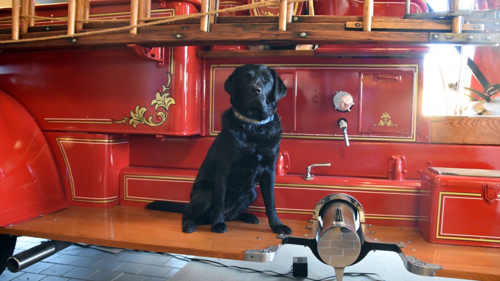 Bowling Green Fire Department - Bowling Green, Kentucky - Official Bowling Green Fire Department - Bowling Green, Kentucky - Official