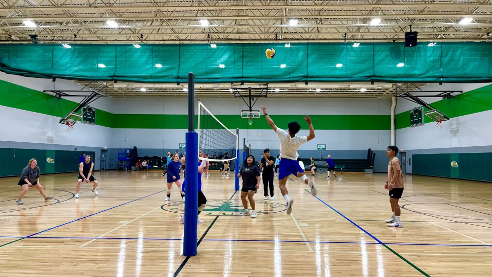 Volleyball - Banner Image #1